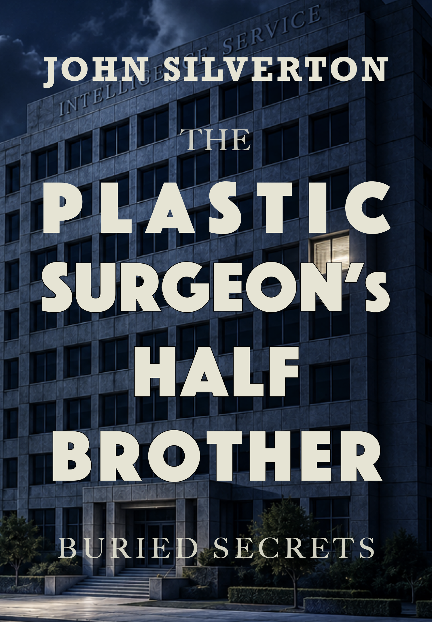 The Plastic Surgeon and the Half Brother cover